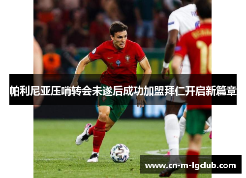 帕利尼亚压哨转会未遂后成功加盟拜仁开启新篇章 帕利尼亚压哨转会未遂后成功加盟拜仁开启新篇章