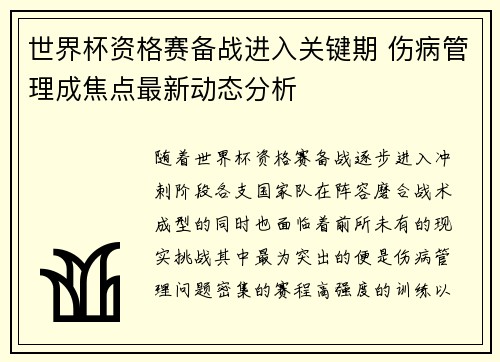 世界杯资格赛备战进入关键期 伤病管理成焦点最新动态分析