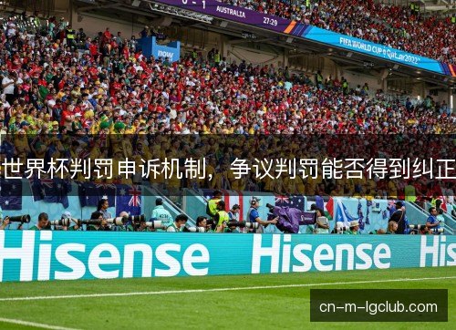 世界杯判罚申诉机制，争议判罚能否得到纠正